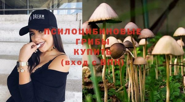 метамфетамин Белокуриха